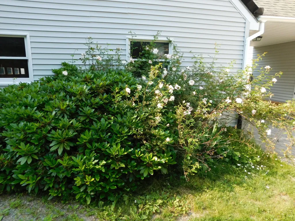235 Nicolin Road Ellsworth ME 04605