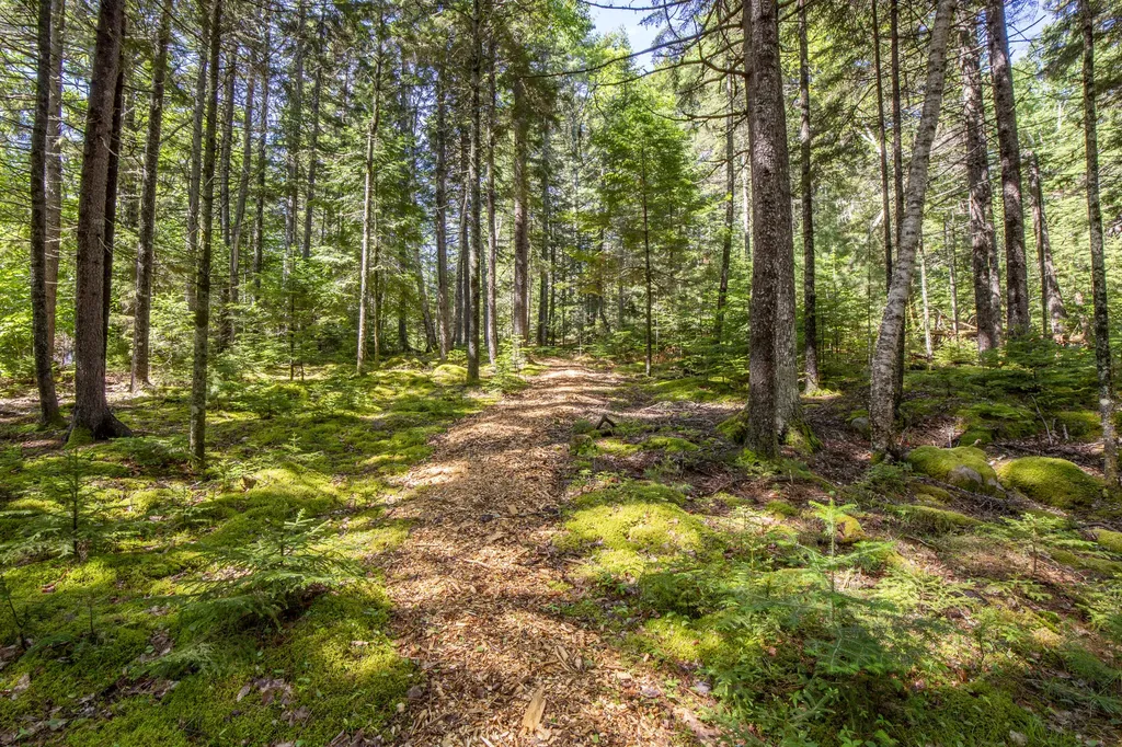12 Pretty Marsh Road Mount Desert ME 04660