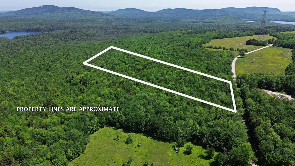 Lot 4 Martins Ridge Road Franklin ME 04634