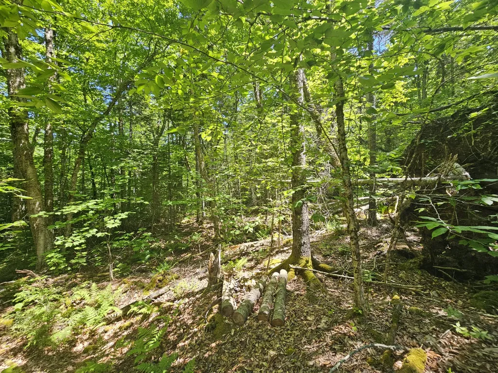 Lot 4 Martins Ridge Road Franklin ME 04634