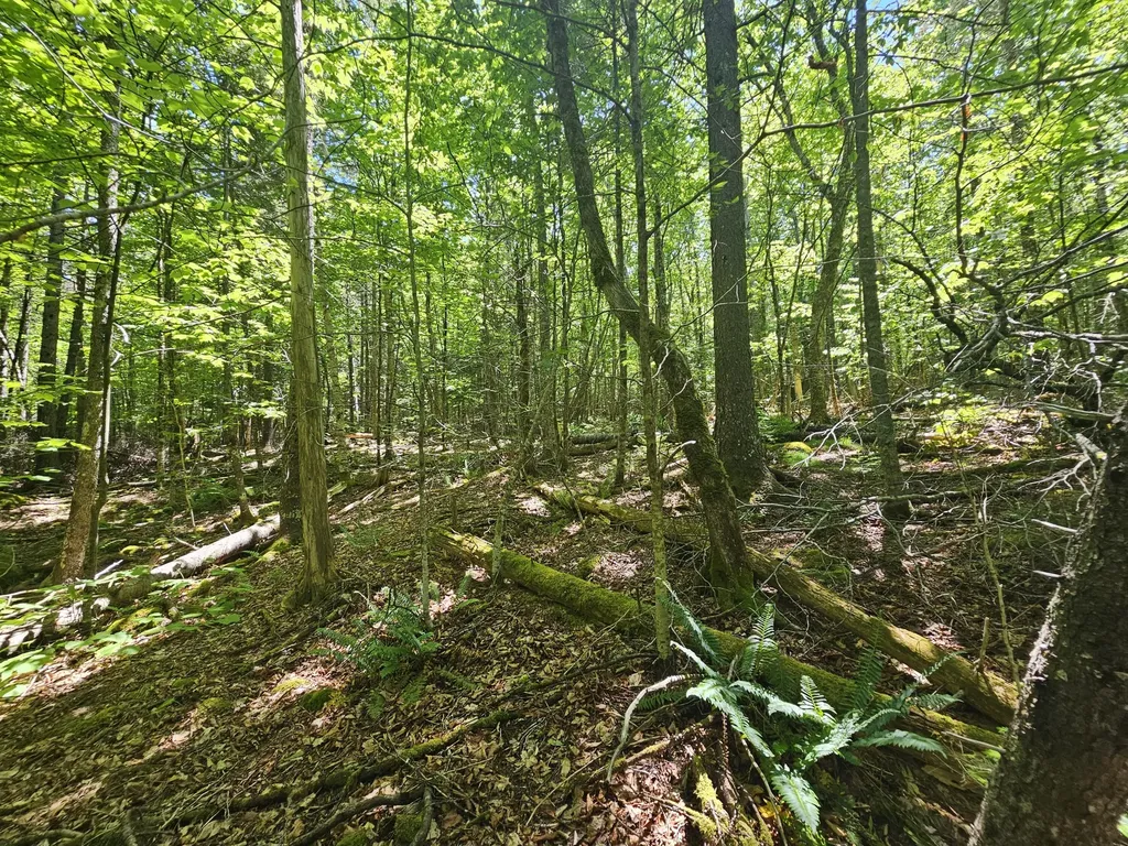 Lot 4 Martins Ridge Road Franklin ME 04634