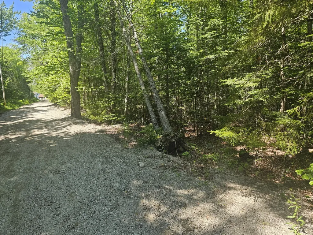 Lot 4 Martins Ridge Road Franklin ME 04634