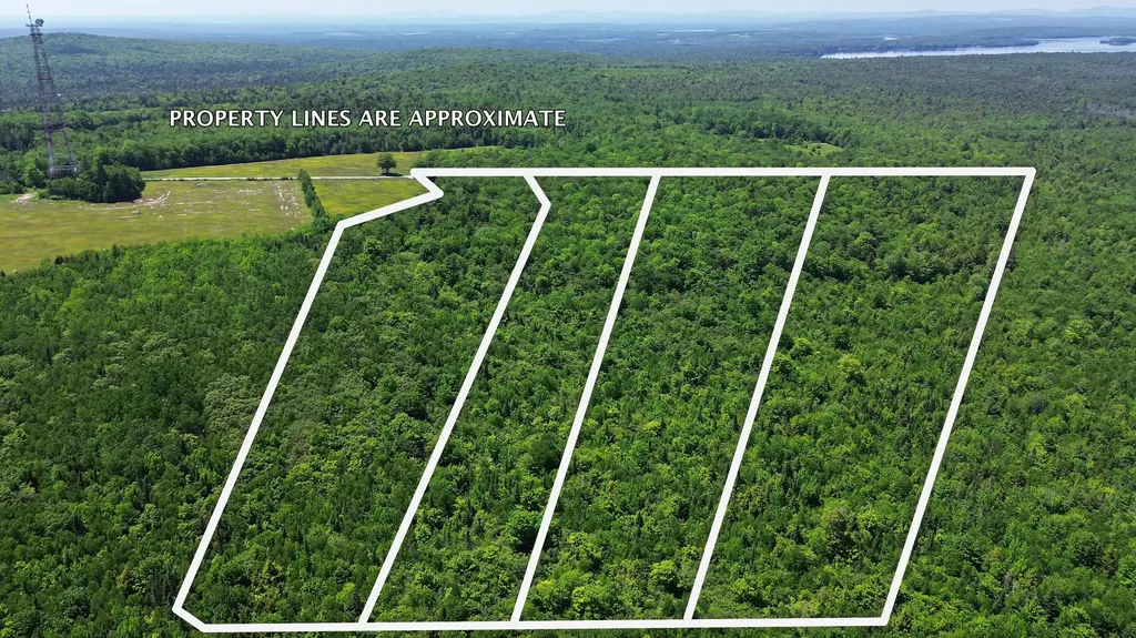 Lot 4 Martins Ridge Road Franklin ME 04634