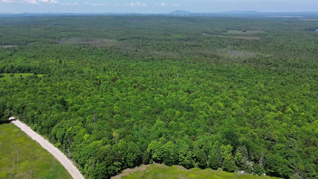 Lot 4 Martins Ridge Road Franklin ME 04634