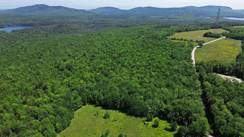 Lot 4 Martins Ridge Road Franklin ME 04634