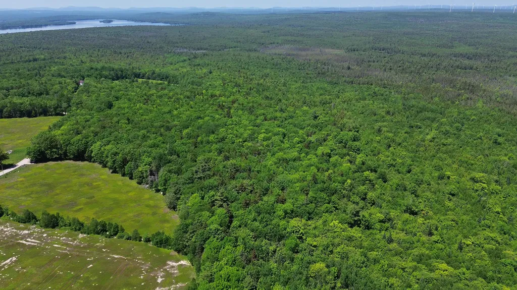 Lot 4 Martins Ridge Road Franklin ME 04634