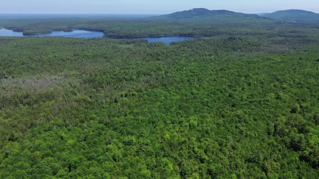 Lot 4 Martins Ridge Road Franklin ME 04634