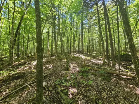 Lot 4 Martins Ridge Road Franklin ME 04634