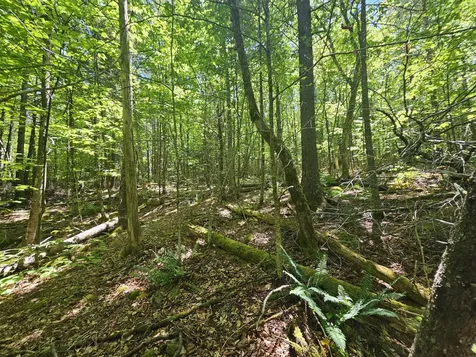 Lot 4 Martins Ridge Road Franklin ME 04634