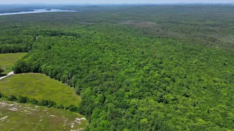 Lot 4 Martins Ridge Road Franklin ME 04634