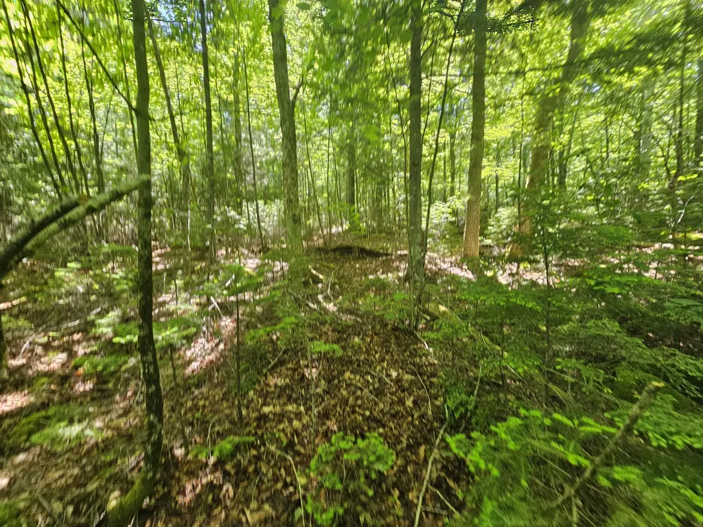 Lot 3 Martins Ridge Road Franklin ME 04634