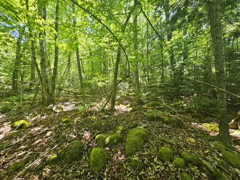 Lot 3 Martins Ridge Road Franklin ME 04634
