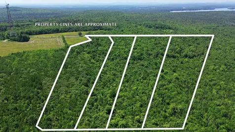 Lot 3 Martins Ridge Road Franklin ME 04634