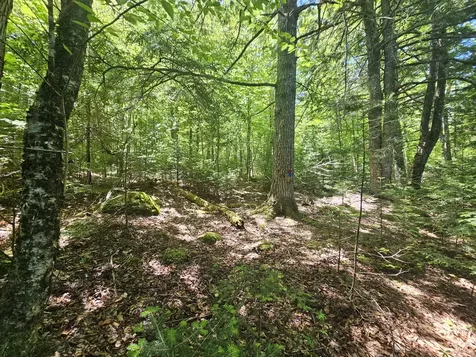 Lot 3 Martins Ridge Road Franklin ME 04634