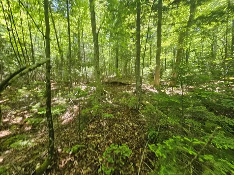 Lot 3 Martins Ridge Road Franklin ME 04634