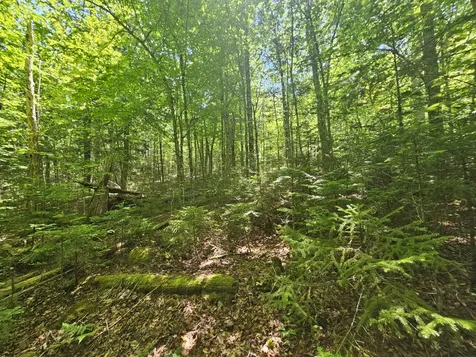 Lot 3 Martins Ridge Road Franklin ME 04634