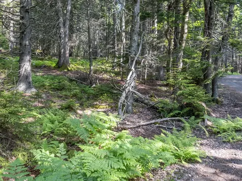 10 Island Retreat Road Swans Island ME 04685