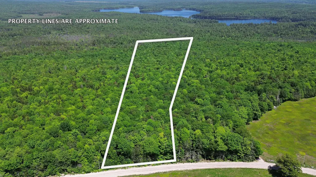 Lot 2 Martins Ridge Road Franklin ME 04634