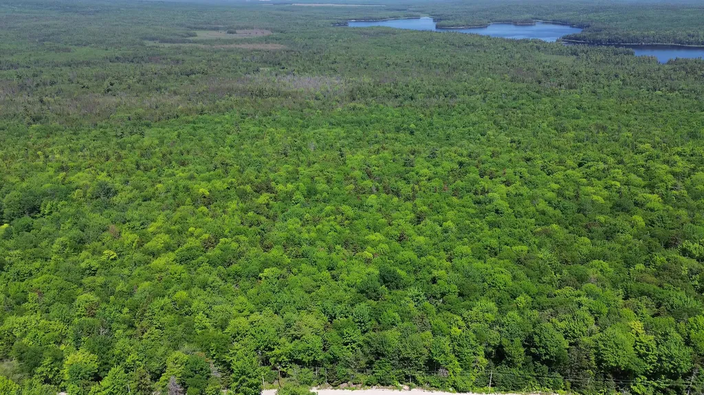 Lot 2 Martins Ridge Road Franklin ME 04634