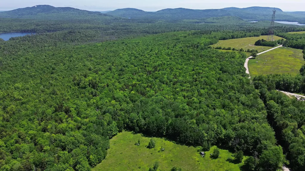 Lot 2 Martins Ridge Road Franklin ME 04634