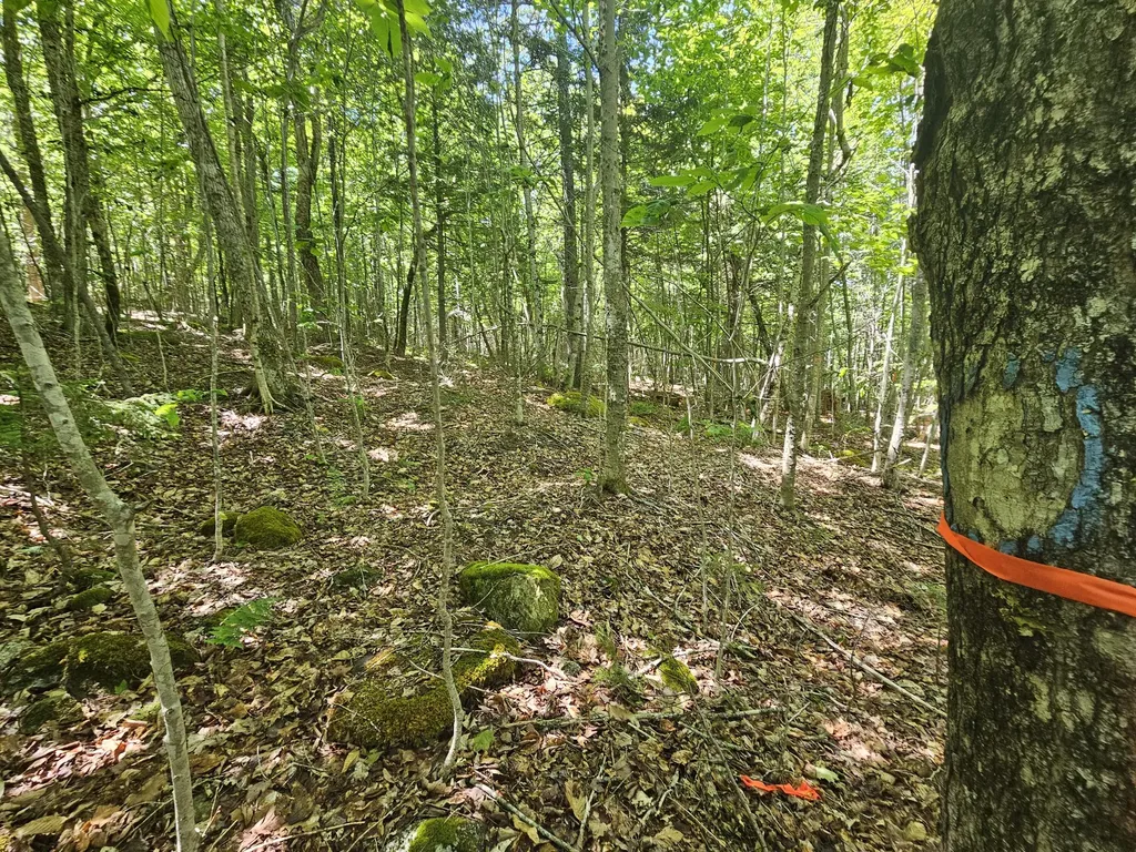 Lot 2 Martins Ridge Road Franklin ME 04634