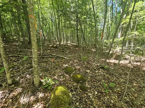 Lot 2 Martins Ridge Road Franklin ME 04634