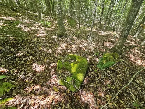 Lot 2 Martins Ridge Road Franklin ME 04634