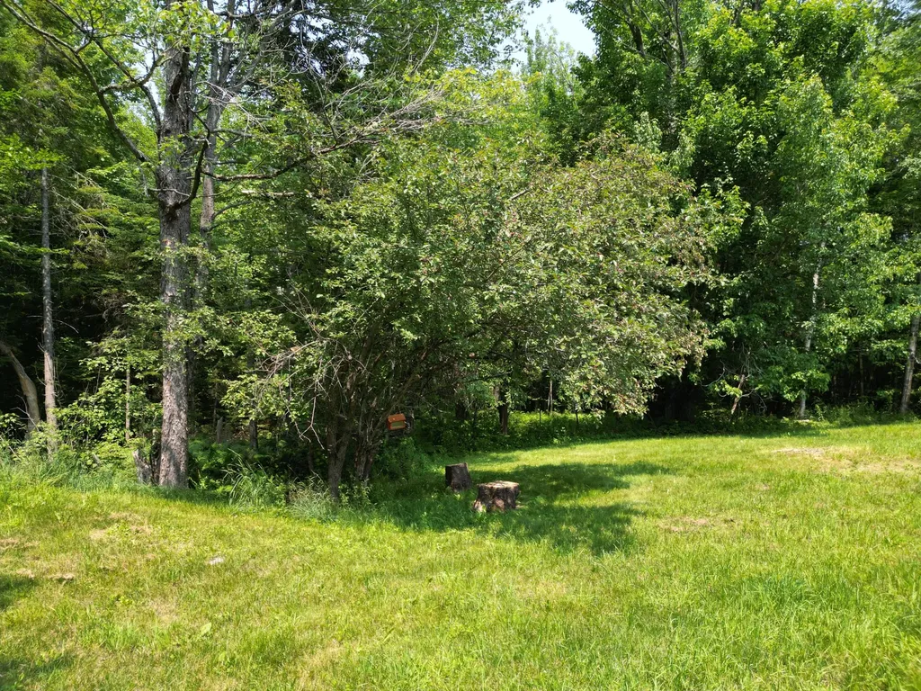 32 Kelley Avenue Lincoln ME 04457