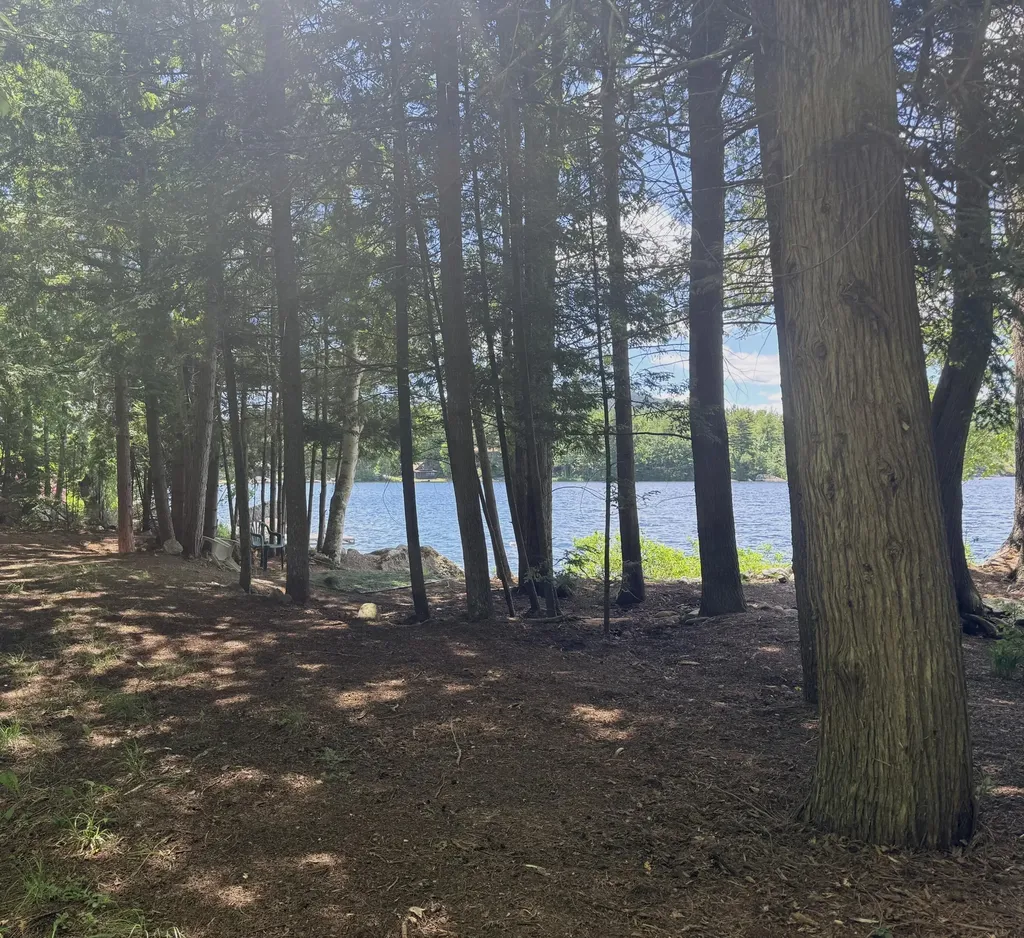 Lot #104-2 Lunt Lane Dedham ME 04429