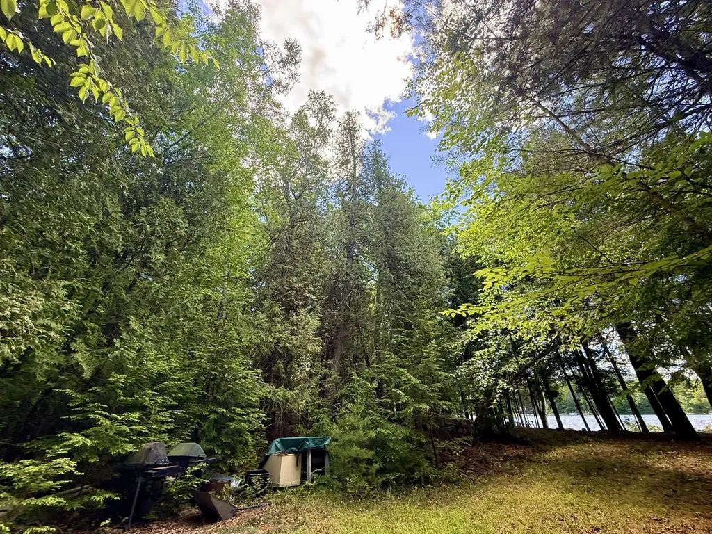 Lot #104-2 Lunt Lane Dedham ME 04429
