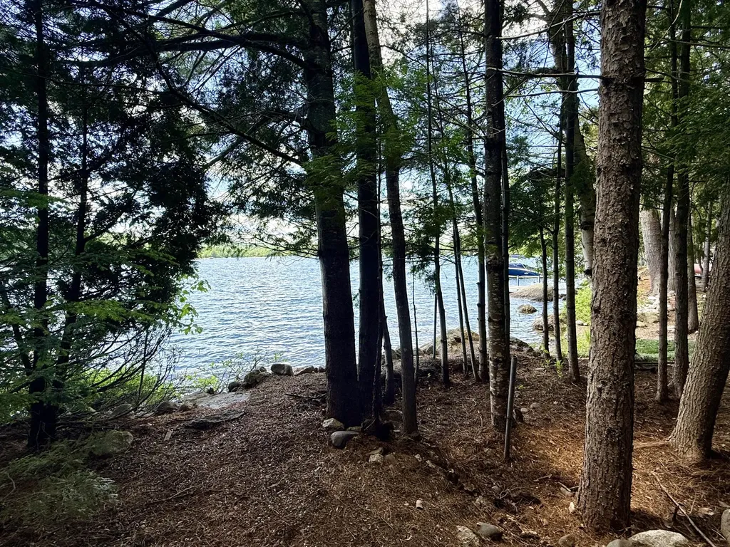 Lot #104-2 Lunt Lane Dedham ME 04429
