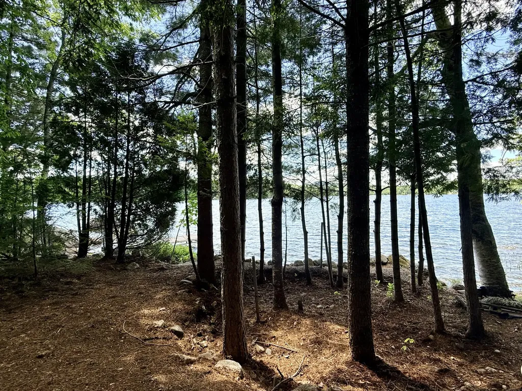 Lot #104-2 Lunt Lane Dedham ME 04429