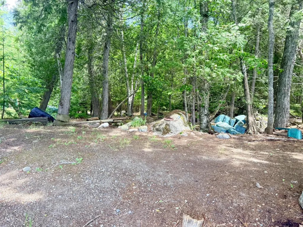 Lot #104-2 Lunt Lane Dedham ME 04429