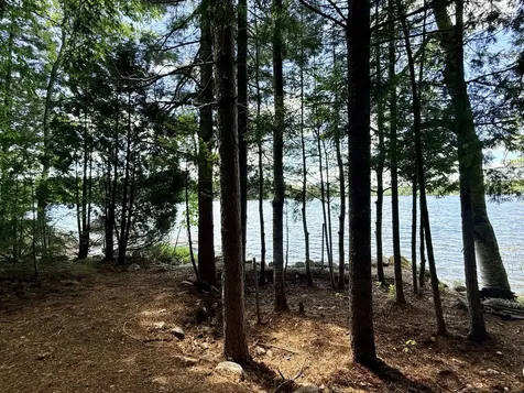 Lot #104-2 Lunt Lane Dedham ME 04429