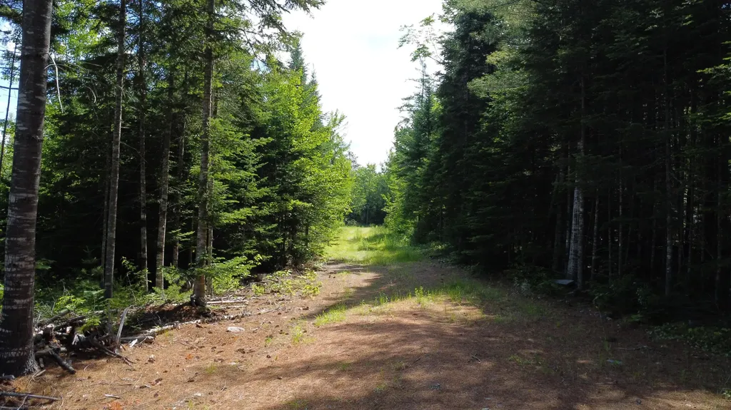 030-007 Cardville Road Greenbush ME 04418