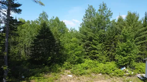 030-007 Cardville Road Greenbush ME 04418