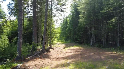 030-007 Cardville Road Greenbush ME 04418