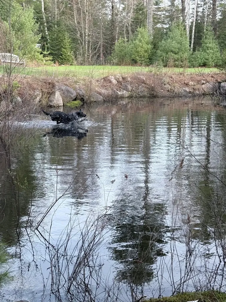 1072 Bucksmills Road Bucksport ME 04416