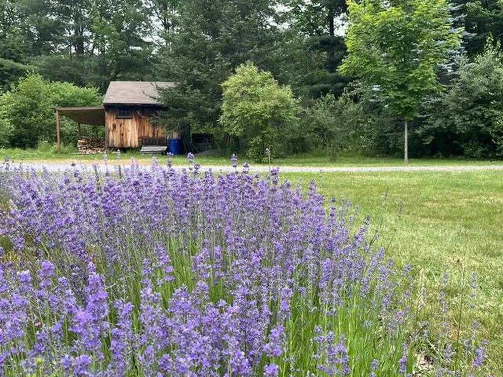 32 Old Fairgrounds Road Readfield ME 04355