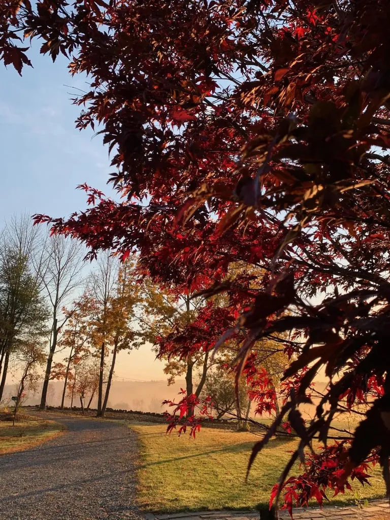 32 Old Fairgrounds Road Readfield ME 04355