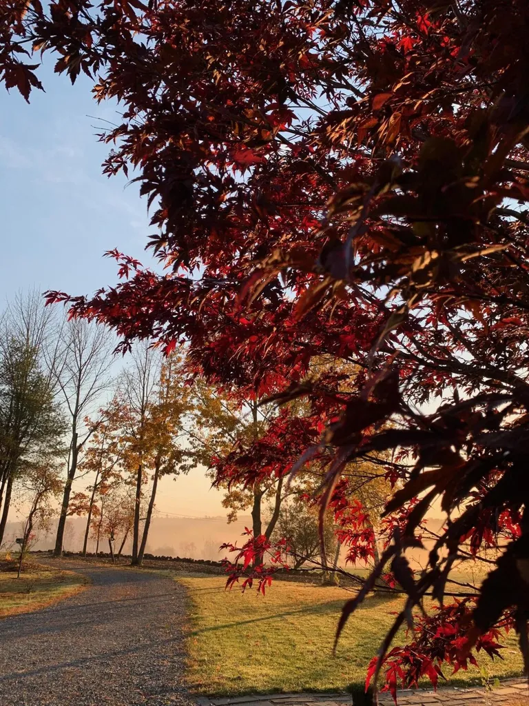 32 Old Fairgrounds Road Readfield ME 04355