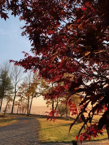 32 Old Fairgrounds Road Readfield ME 04355