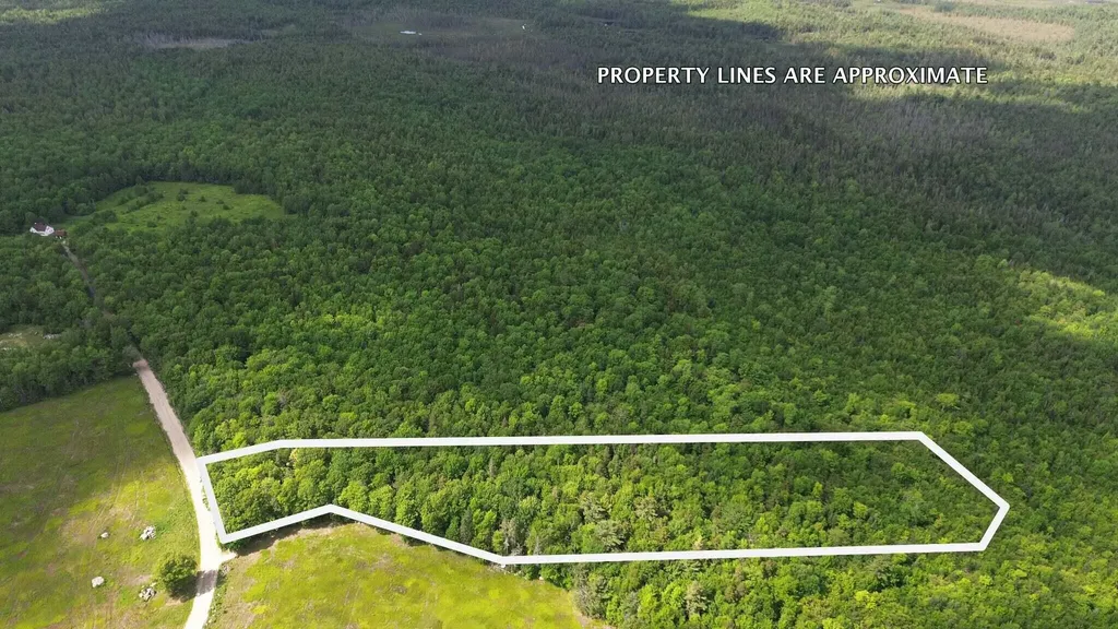 Lot 1 Martins Ridge Road Franklin ME 04634