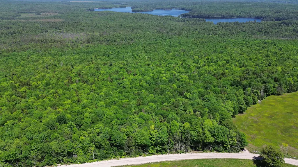 Lot 1 Martins Ridge Road Franklin ME 04634