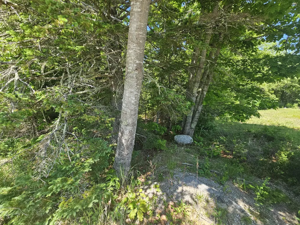 Lot 1 Martins Ridge Road Franklin ME 04634