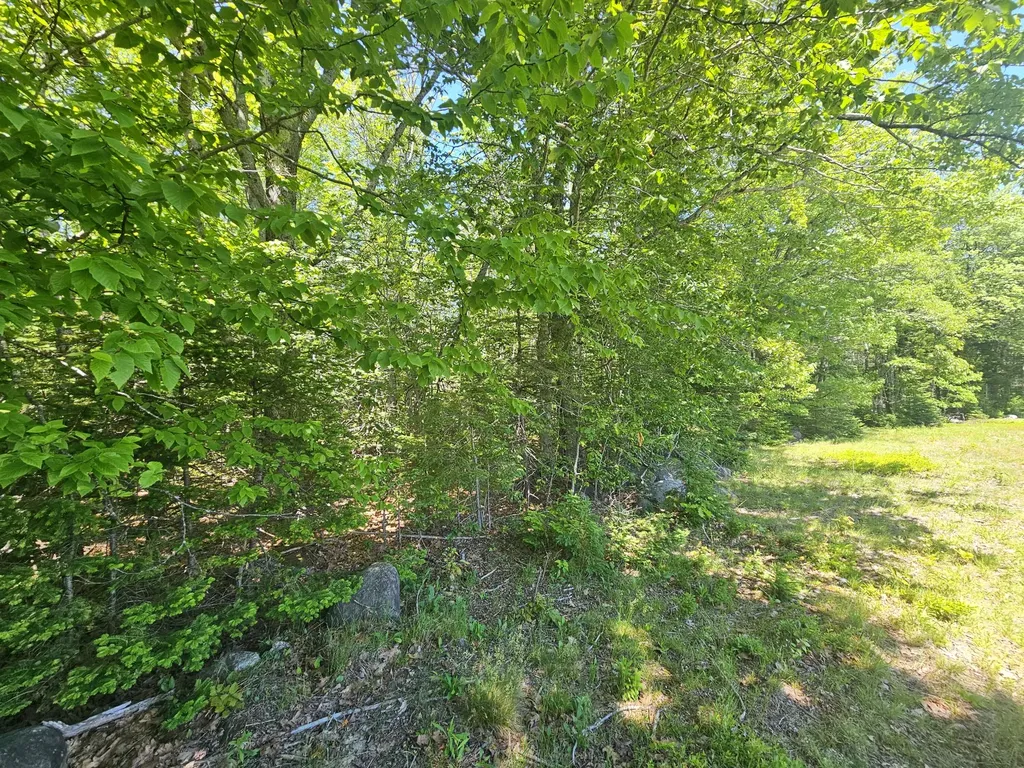Lot 1 Martins Ridge Road Franklin ME 04634