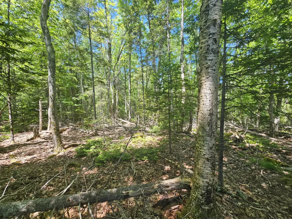 Lot 1 Martins Ridge Road Franklin ME 04634