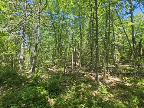Lot 1 Martins Ridge Road Franklin ME 04634