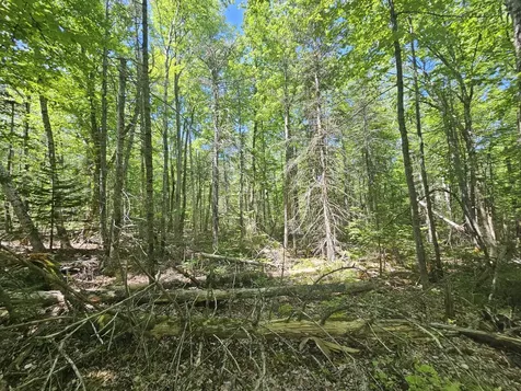 Lot 1 Martins Ridge Road Franklin ME 04634