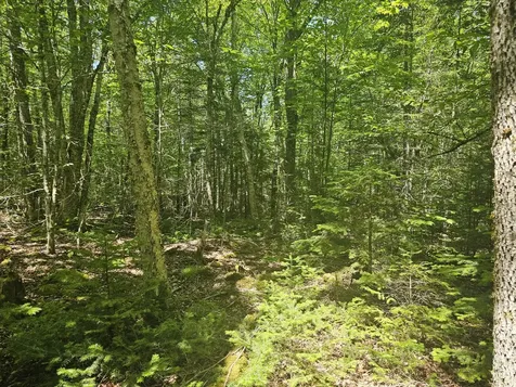 Lot 1 Martins Ridge Road Franklin ME 04634
